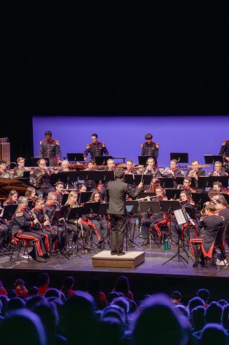 DSC00503-Enhanced-NR