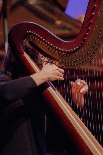 DSC00548-Enhanced-NR