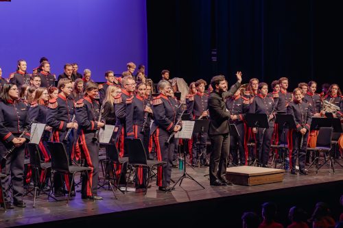 DSC00597-Enhanced-NR