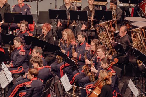 DSC00742-Enhanced-NR