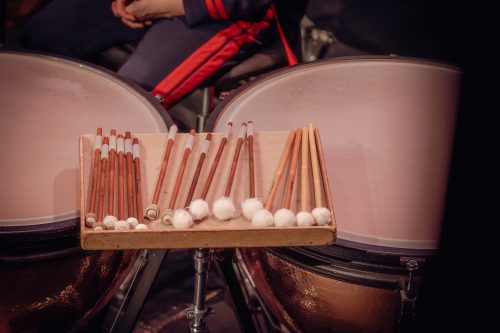 DSC00851-Enhanced-NR