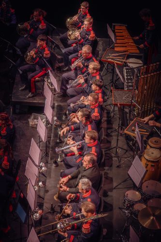 DSC00901-Enhanced-NR