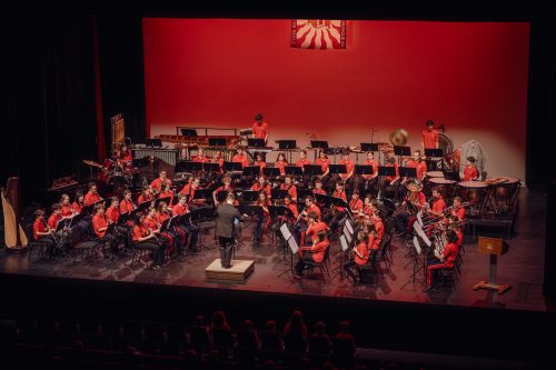 DSC00152-Enhanced-NR